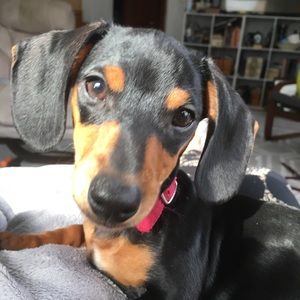 Meet your Posher, Kathleen